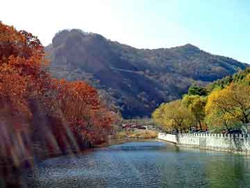 新澳天天开奖资料大全旅游团，契约小妈咪